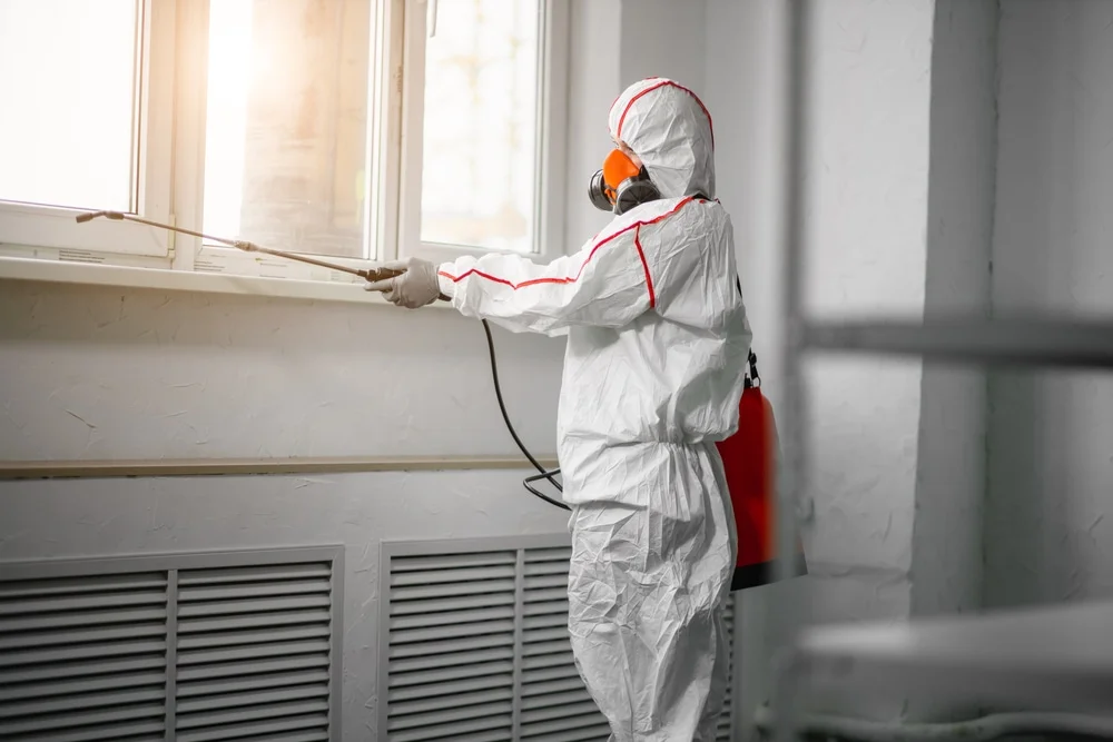 Professional mold remediation services in Yalaha, FL